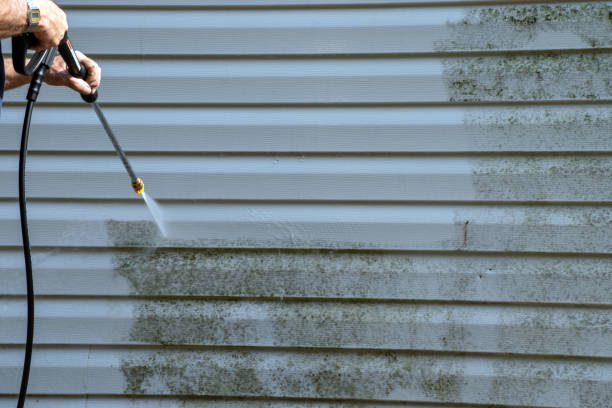 Best Basement Cleanout  in Port Chester, NY